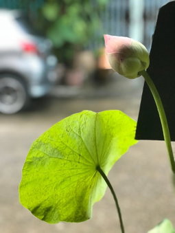 Meechok Home, Chiang Mai, Thailand