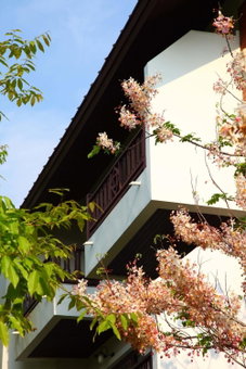 Korat Resort Hotel, Nakhon Ratchasima, Thailand
