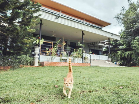 Tantai Eco Farm Stay At Khao Yai, Ban Sap Noi, Thailand