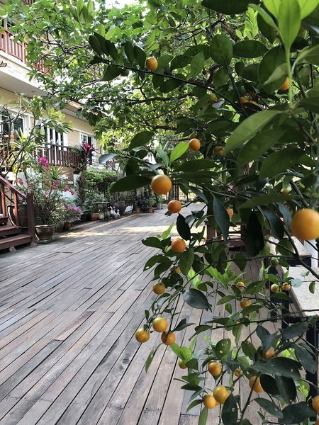 Romyen cafe homestay, Ayutthaya, Thailand
