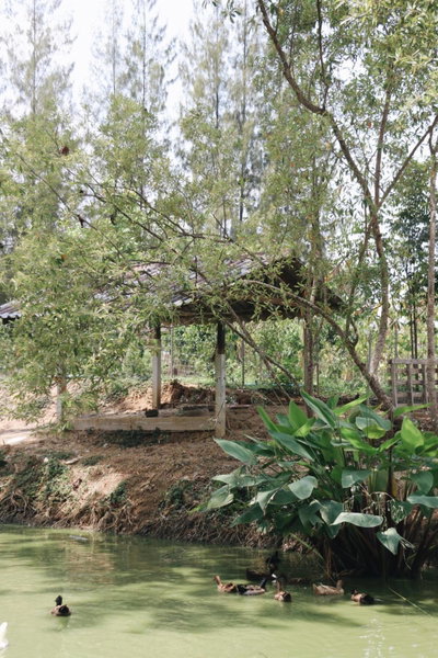 Tubtao Sleepy Hill, Pong Talong, Thailand