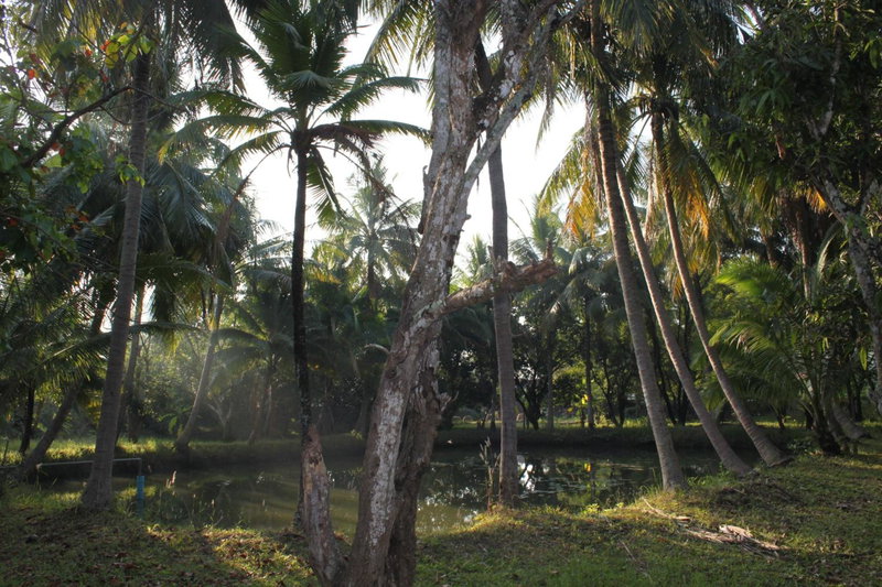 Chaisuk Bungalow, Aranyaprathet, Thailand