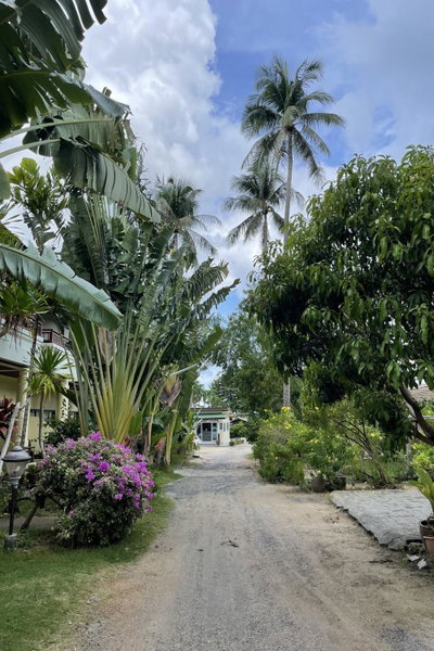 Sea Breeze Bungalow, Lamai, Thailand