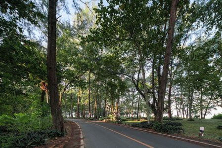 Chao Wilai Residence | Naiyang Beach | HKT Airport, Sa Khu, Thailand