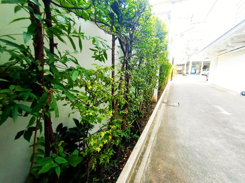 Common Living, Chiang Mai, Thailand