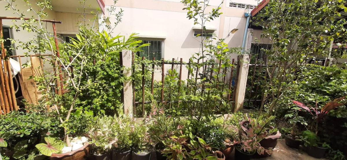 Rutcha Homestay Betong, Thailand