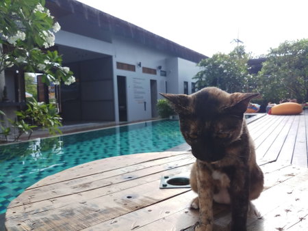Us Hostel Samui, Koh Samui, Thailand