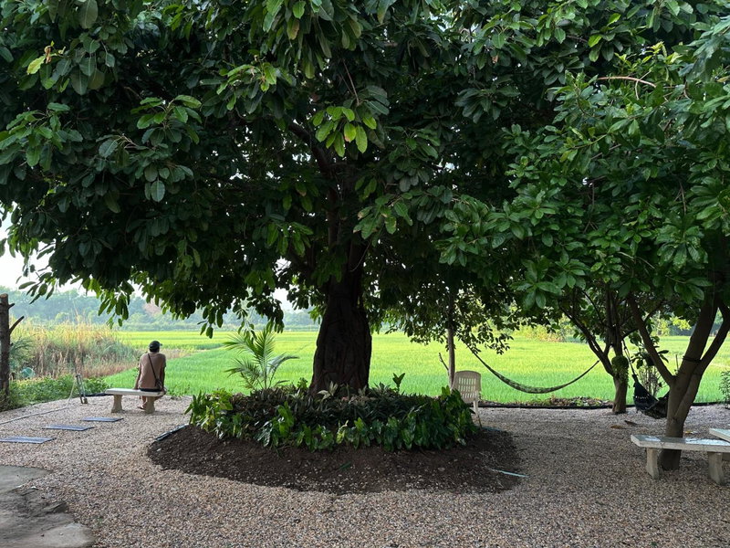 Ban Suweena, Uthai Thani, Thailand