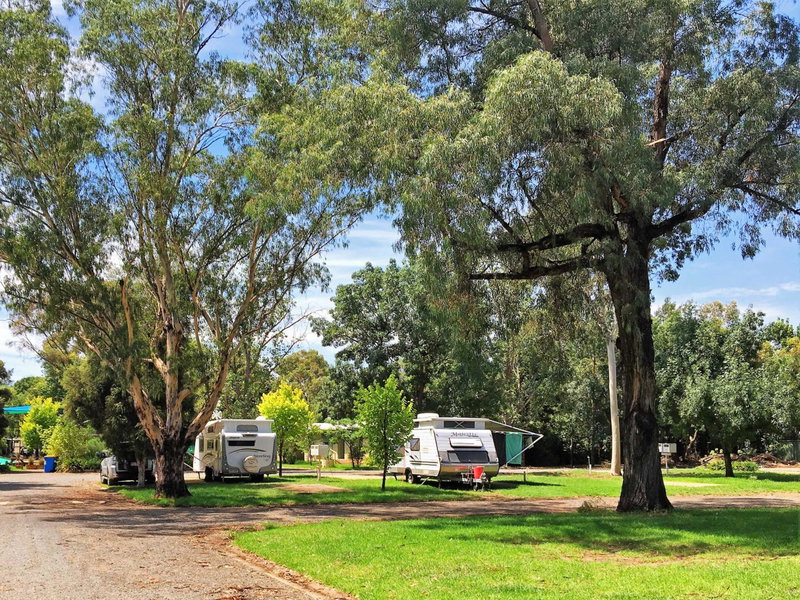 Shepparton Holiday Park, Shepparton, Australia