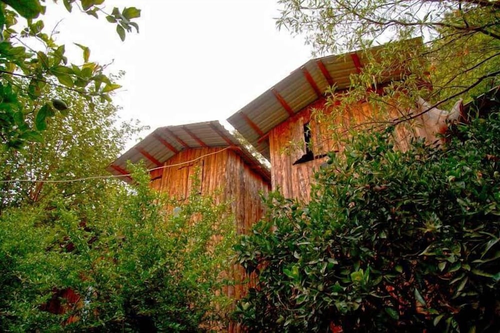 Bayrams Tree Houses, Турция