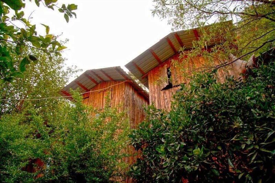 Bayrams Tree Houses, Kumluca, Turkey