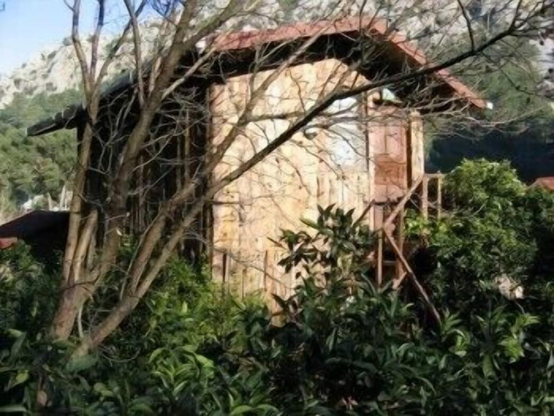 Bayrams Tree Houses, Kumluca, Turkey