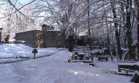 Hindiba Doga Evi, Mengen, Turkey