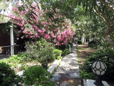 Arriba Apart Bungalow Restaurant, Bodrum, Turkey