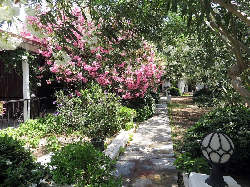Arriba Apart Bungalow Restaurant, Bodrum, Turkey