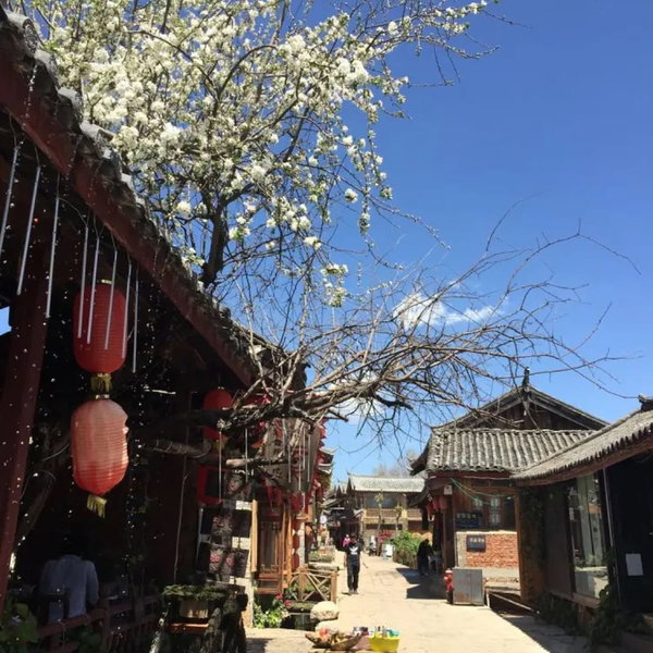Floral Hotel Limaroonthai shuhe, Lijiang, China