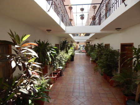 Cabo Cush Hotel, Cabo San Lucas, Mexico