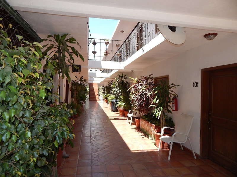 Cabo Cush Hotel, Cabo San Lucas, Mexico