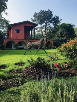Hotel Boutique Finca de la Niebla Coatepec, Tlalnelhuayocan, Mexico