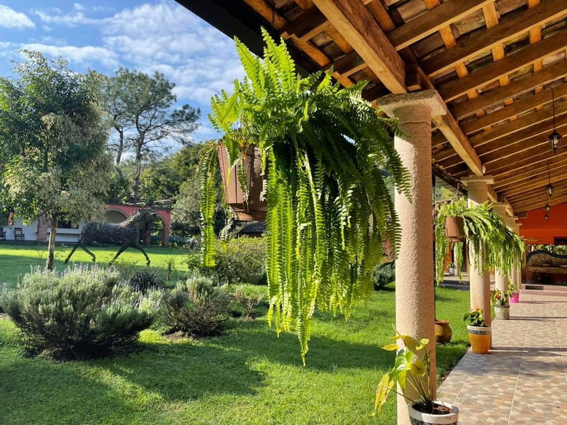 Hotel Boutique Finca de la Niebla Coatepec, Tlalnelhuayocan, Mexico