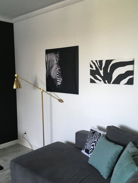 Apartament Miętowa Zebra, Olsztyn, Poland