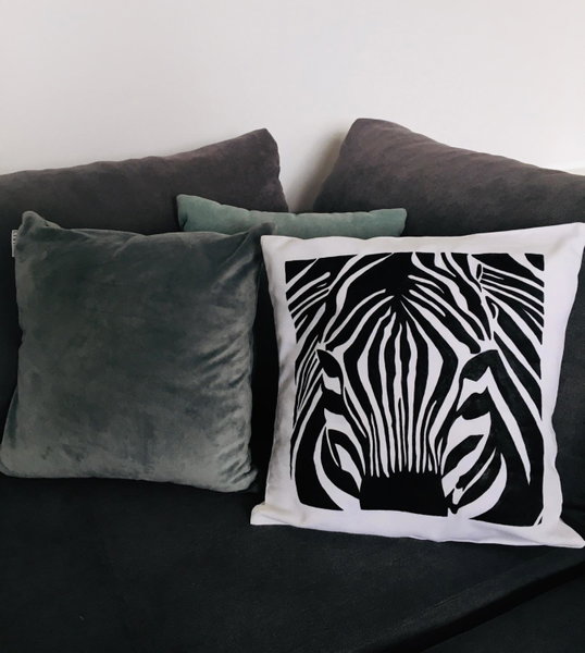 Apartament Miętowa Zebra, Olsztyn, Poland