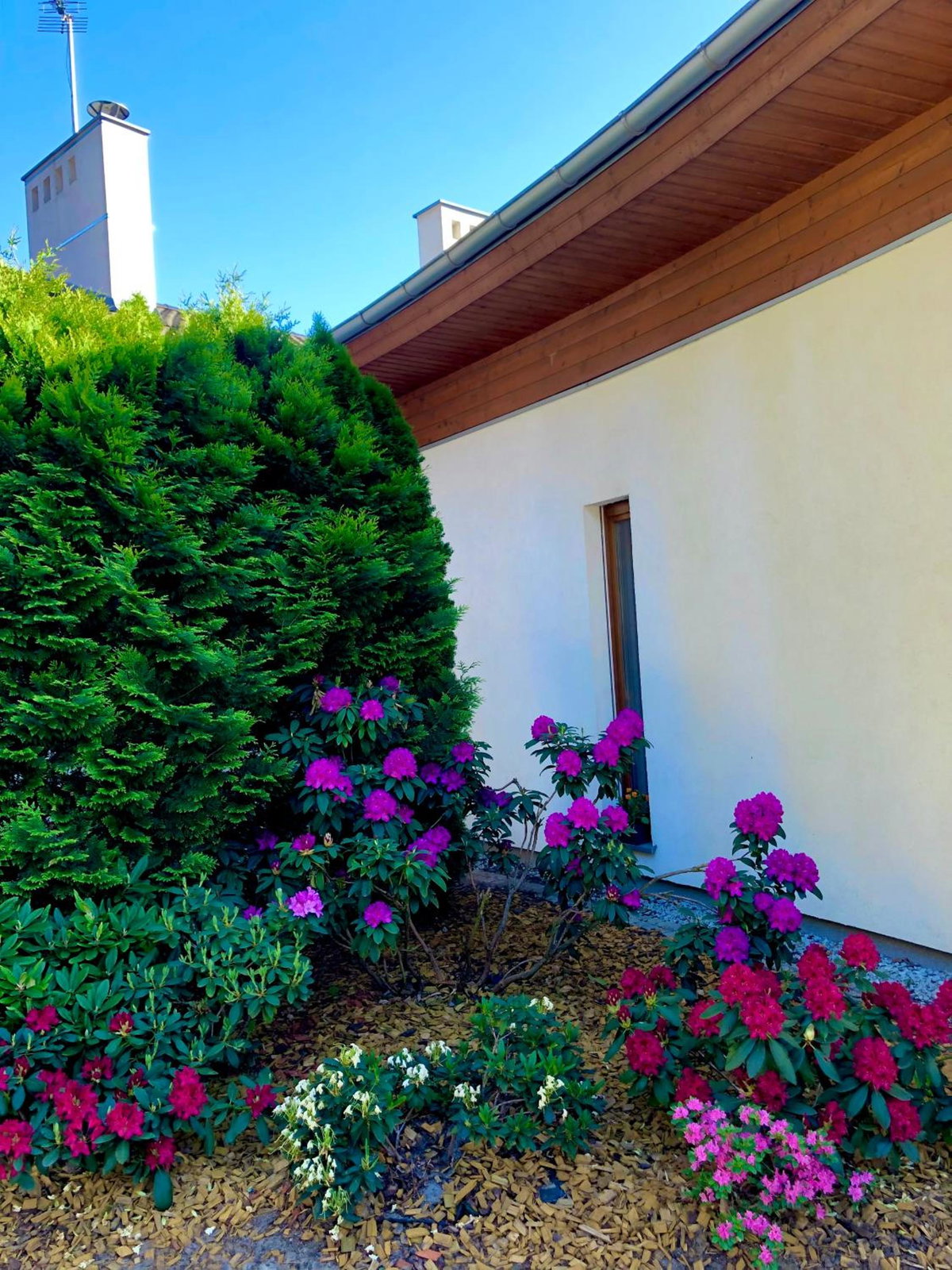 Hotel · Apartament przy lesie, Chojno