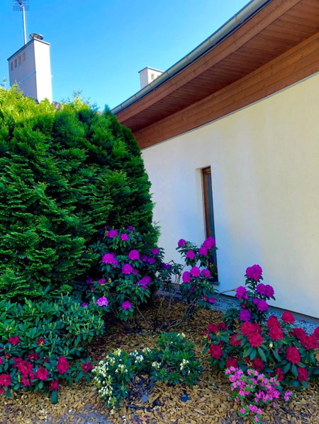 Apartament przy lesie, Chojno, Poland
