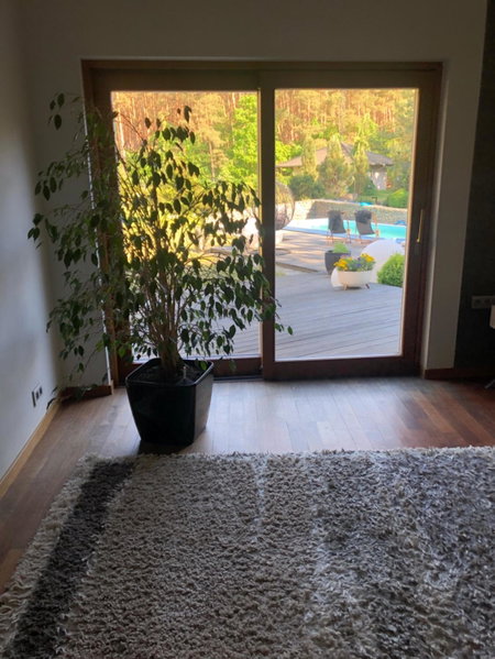 Apartament przy lesie, Chojno, Poland