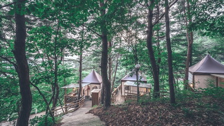 Couplestar in Forest Glamping, Hoengseong, South Korea