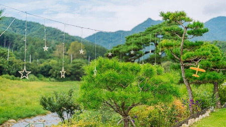 Gapyeong ATty Pension, Gapyeong, South Korea