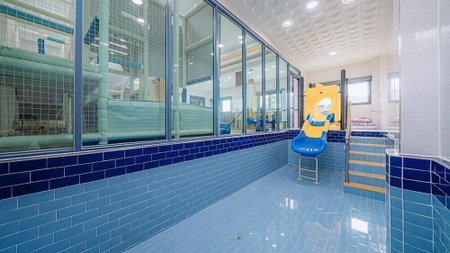 My Kids Pool Villa, Taean, South Korea