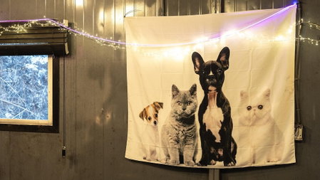 Gapyeong J-mong Pet Camping Zone Pension, Gapyeong, South Korea