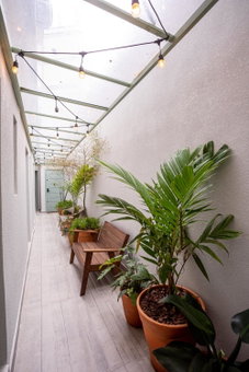 Casa Savana, Sao Paulo, Brazil