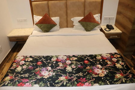 Hotel RV Golden A Few Steps from Golden Temple, Amritsar, India