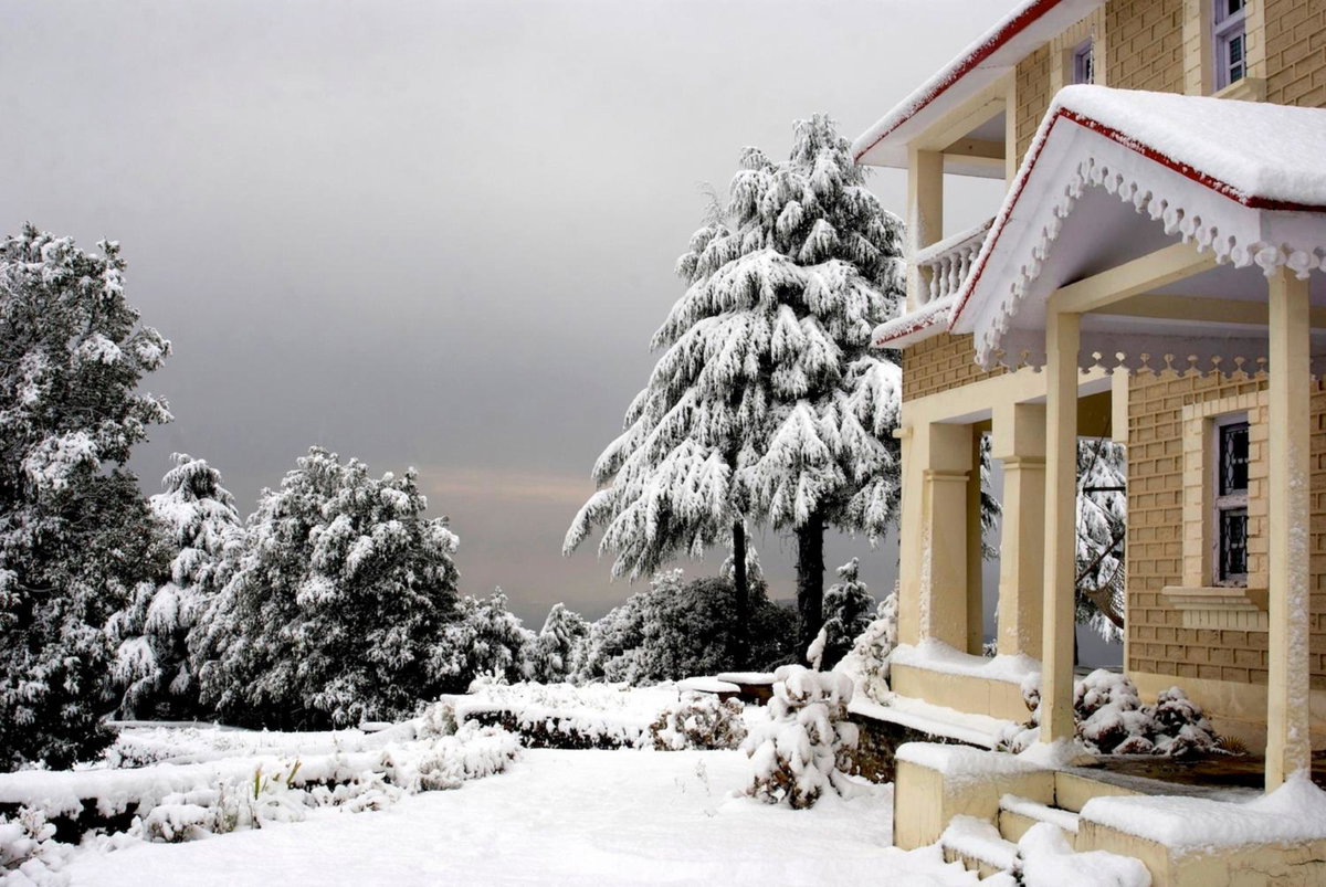 Tree of Life Grand Oak Manor, Binsar, India