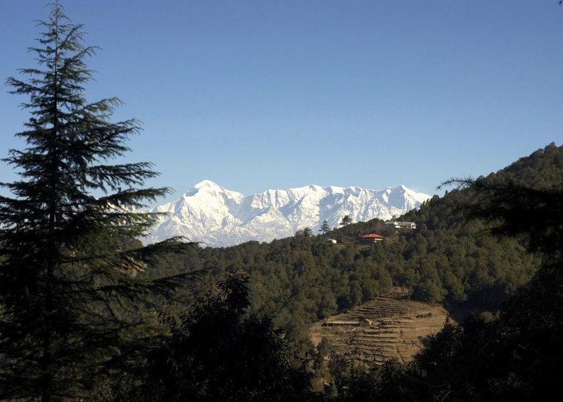 Tree of Life Grand Oak Manor, Binsar, Binsar, India