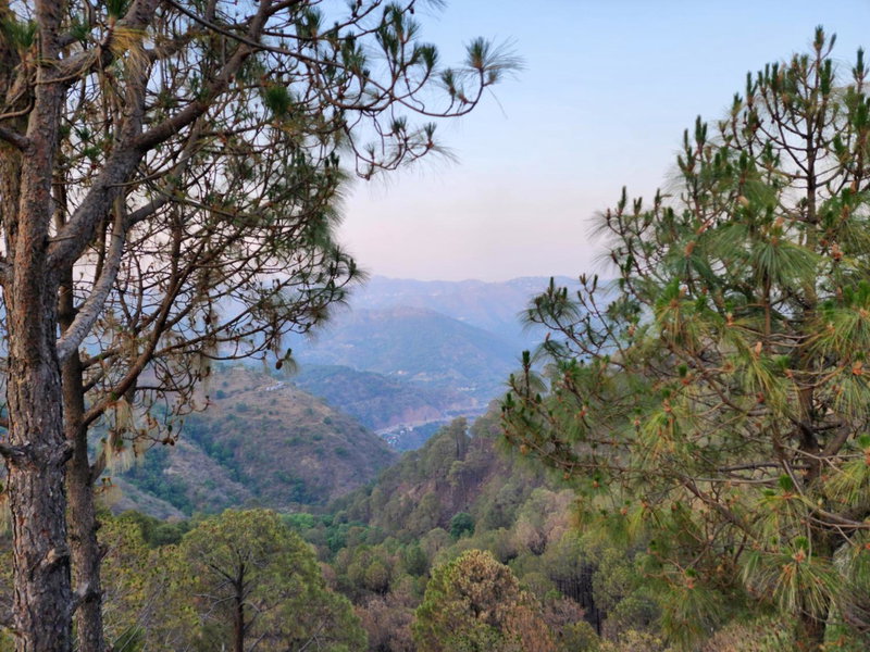 Pihu's Nest Kasauli, Kasauli, India