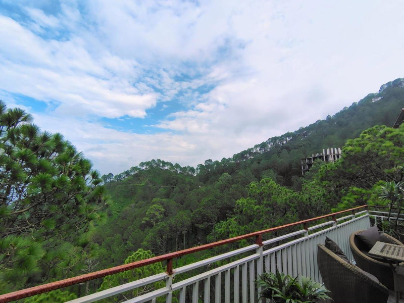 Pihu's Nest Kasauli, Kasauli, India