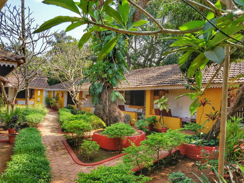 Granpa's Inn Hotel Bougainvillea, Anjuna, India