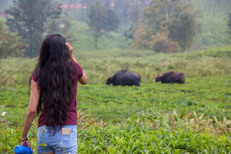 The Realm, Coonoor, India