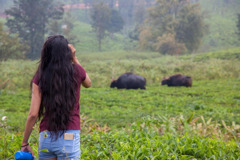 The Realm, Coonoor, India