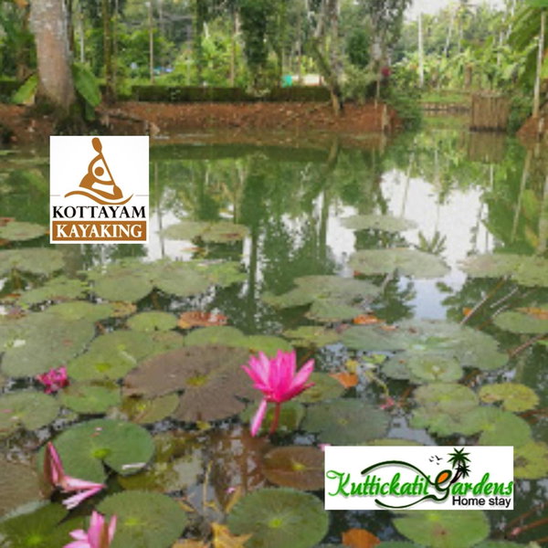 Kuttickattil Gardens Homestay, Kottayam, India