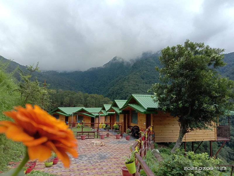 LaSerene The Cottage - Pangot, Nainital, India
