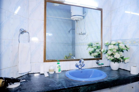 Fortune Home Service Apartment,2Bhk, D-198,SAKET, New Delhi, India