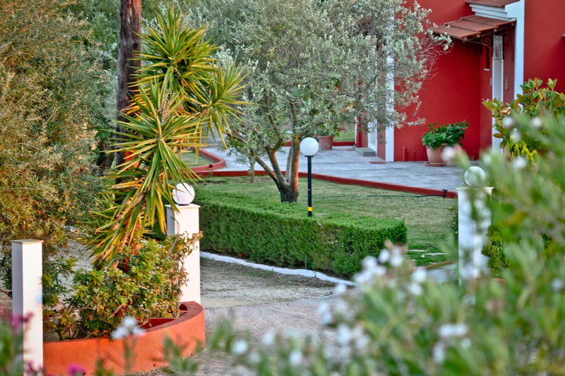 Dendrolivano, Minia, Greece