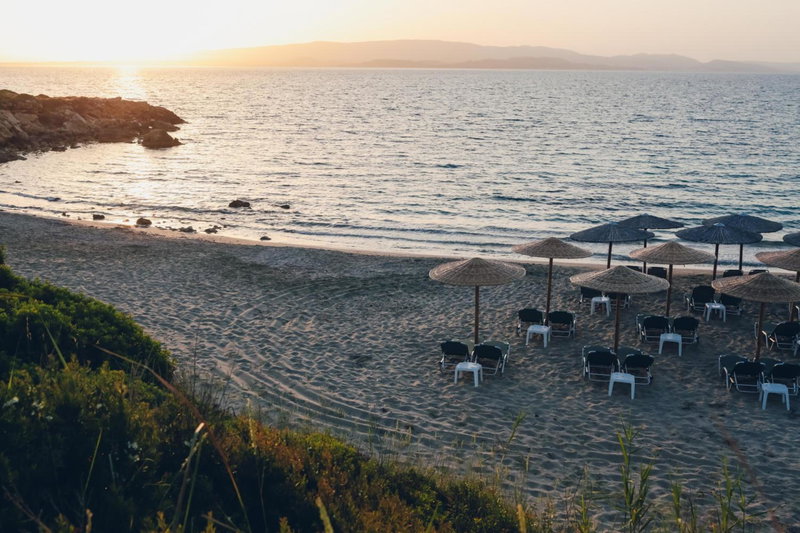 Dendrolivano, Minia, Greece