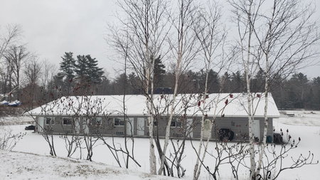 Calabogie Motor Inn, Calabogie, Canada