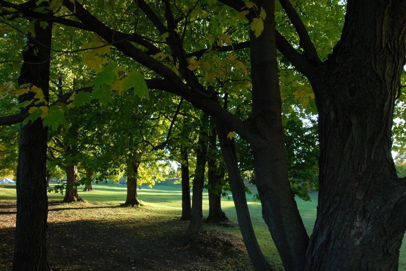 Kings Inn Orillia, Orillia, Canada