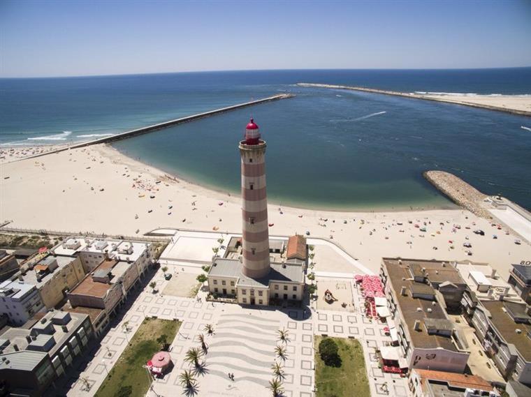 Rosa D'Aveiro, Aveiro, Portugal